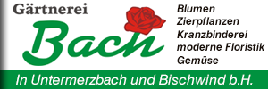 Blumen Bach