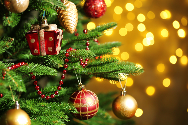 Christbaumversteigerung beim SV Heubach