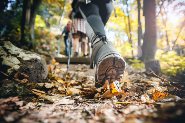 Wanderung der Wandergruppe Ebern