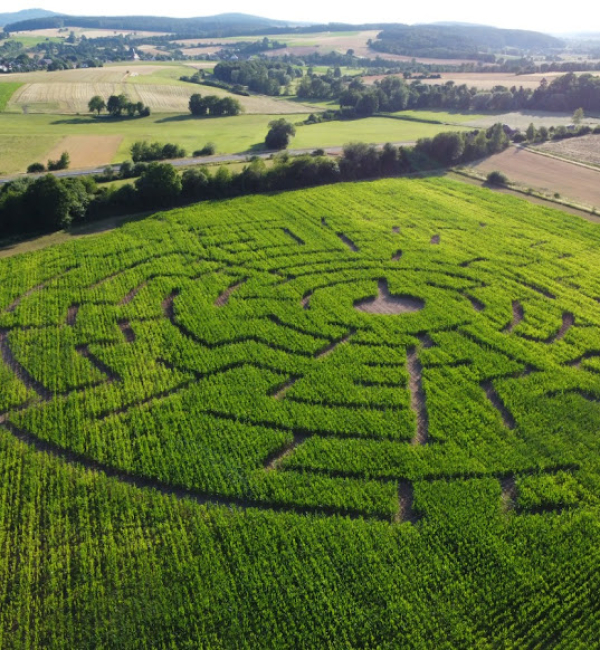 Maislabyrinth in Pfarrweisach