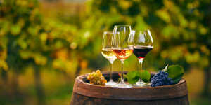 Weinfest des Bürgervereins