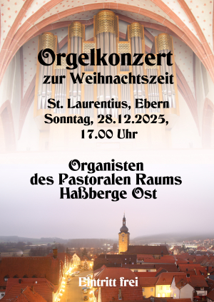 Orgelkonzert zur Weihnachtszeit