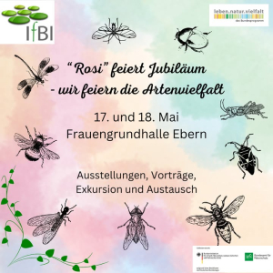 Rosi - eine Wanze feiert Jubiläum
